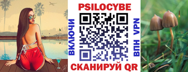 hydra как зайти  Когалым  Галлюциногенные грибы Psilocybe 
