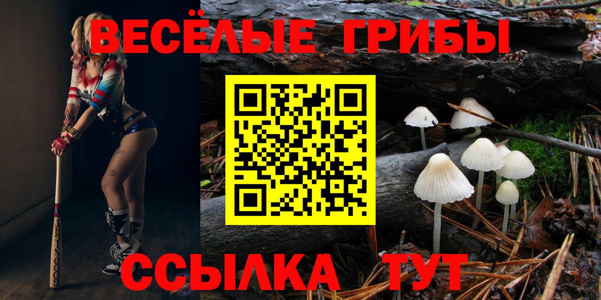 Когалым  Псилоцибиновые грибы ЛСД  Вход с VPN  Галлюциногенные грибы мицелий 